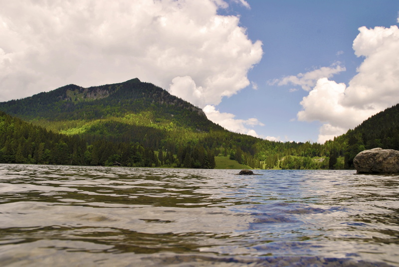 mountains, mood, non-urban scene, water, macro, blue, green, nature, summer, fresh, starnberger see, forest, tranquil scene, surface level, scenics - nature