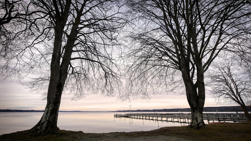 bare tree, outdoors, no people, beauty in nature, atmosphere, tranquility, 4K, scenics - nature, branch, nature, land, lake, beach, plant, day, starnberger see