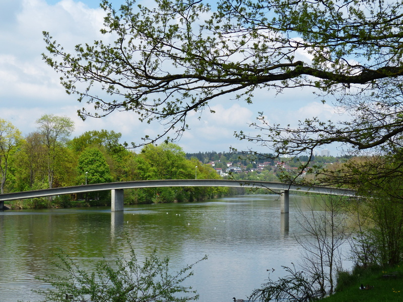 branch, friedrich sau steg, water, arch bridge, danube, ulm, scenics - nature, sky, outdoors, cloud - sky, no people, plant, friedrich sau, architecture