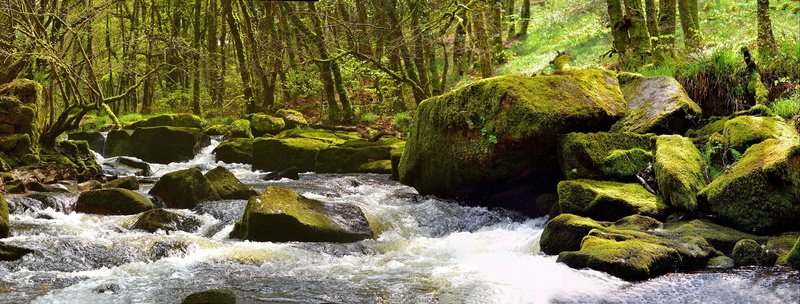 outdoors, Image, scenics, DSC, moss, Panorama, Granite, Tamron, tree, Cornwall, West Country, rock - Object, Falls  River, running, Stitched, Di, sky, nature