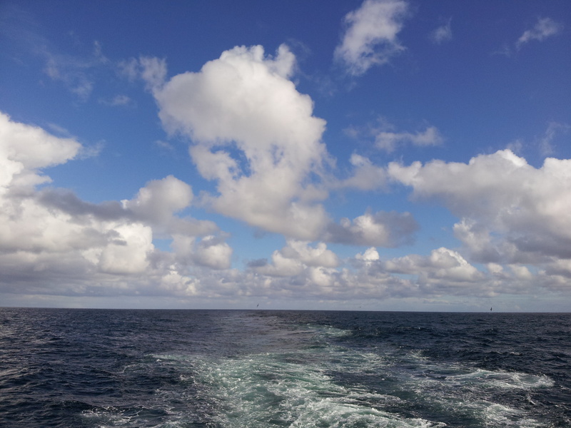 idyllic, horizon, scenics, day, beauty in nature, nature, scenics - nature, weather, sea, cloud - Sky, power in nature, magellan, seascape, summer, chile