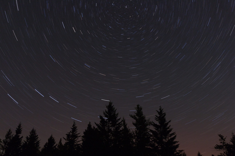scenics - nature, star trail, low angle view, space and astronomy, beauty in nature, coniferous tree, gray, no people, pine, astronomy, circle, silhouette