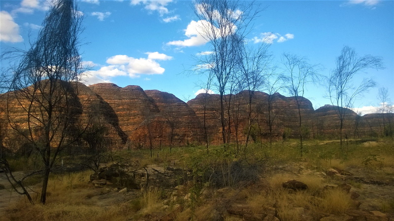 sky, national park, tranquil scene, non-urban scene, scenics - nature, landscape, rock, beauty in nature, nature, rock - object, bungle bungles, tree, cloud - sky