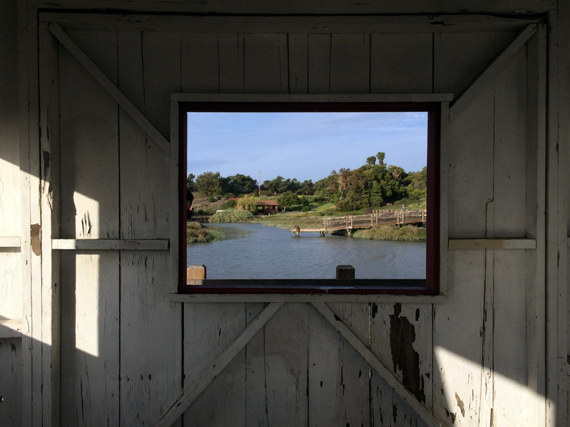 wood - material, day, nature, building, shadow, transparent, landscape, tree, wood, no people, sunlight, glass - material, wooden surface, water, wall
