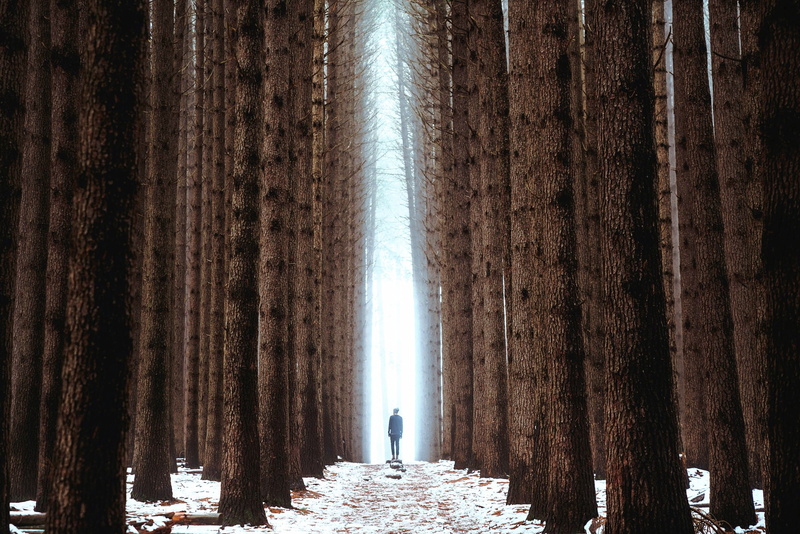 forest, rear view, unrecognizable person, curtain, standing, nature, one person, stage, full length, outdoors, tree, beauty in nature, illuminated, white