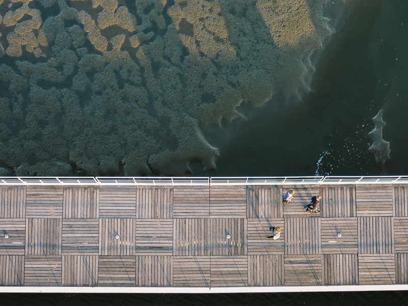 built structure, land, architecture, outdoors, high angle view, bridge, footbridge, no people, landing stage, vertebrate, walking, transportation, people