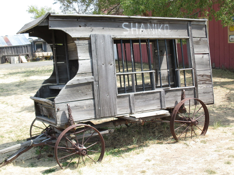 4K, shaniko stage, wheel, cart, plant, nature, wood - material, built structure, obsolete, mode of transport, mode of transportation, land vehicle, outdoors