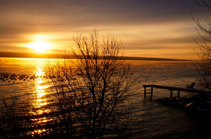 no people, jetty, lake, sky, tree, dock, idyllic, vacation, ocean, 4K, dawn, nature, plant, sun, tranquil scene, tranquility, pontoon, bare tree, orange color