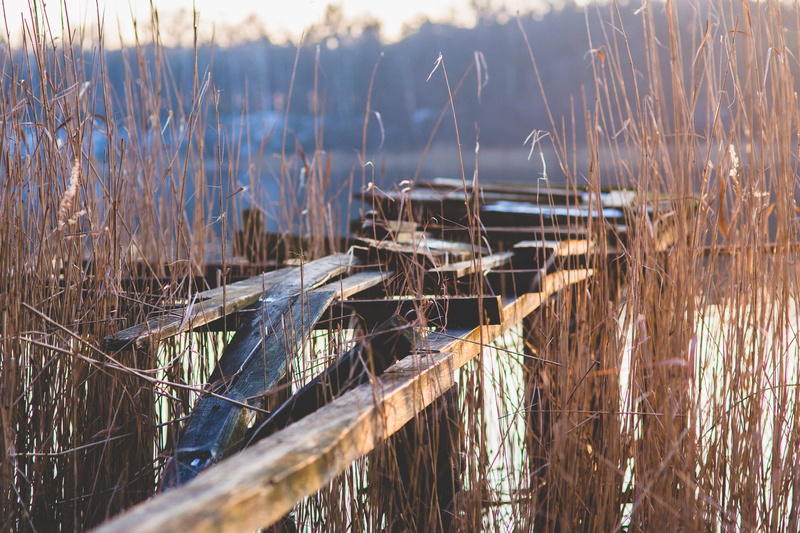 5K, day, reflection, blade of grass, pier, selective focus, growth, dead plant, tranquil scene, beach, grass, wood - material, dry, lake, tranquility