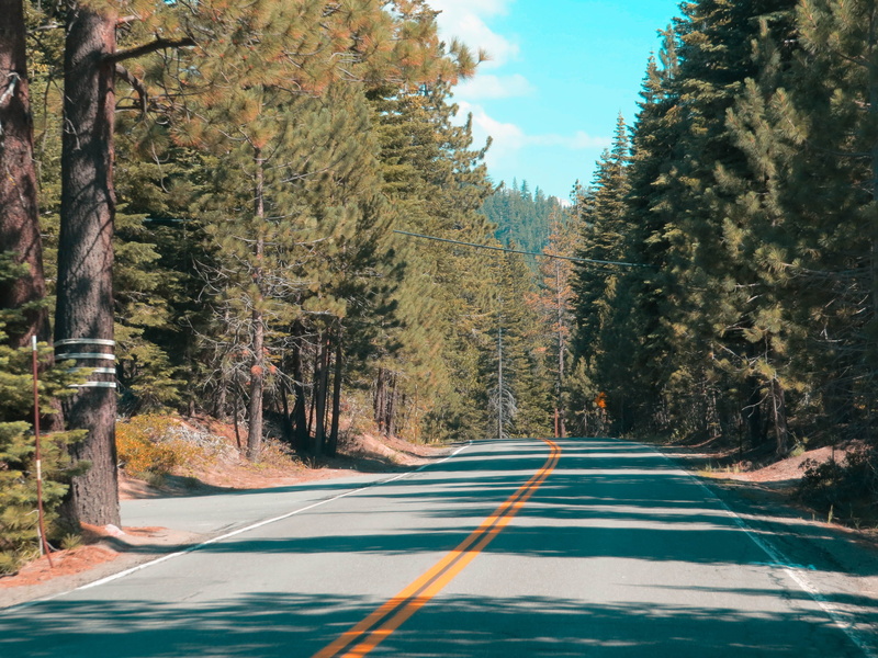 country, beauty in nature, pine, double yellow line, canon 80d, growth, middle, tree, forest, empty road, beautiful, dividing line, no people, 4K, outdoors
