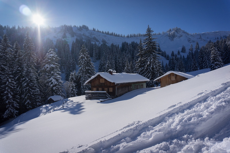houses, the snow, Bayern, Germany, Allgäu, trees, Allgäu Alps, 1080P, winter, snow, Bavaria, The Allgäu Alps, mountains