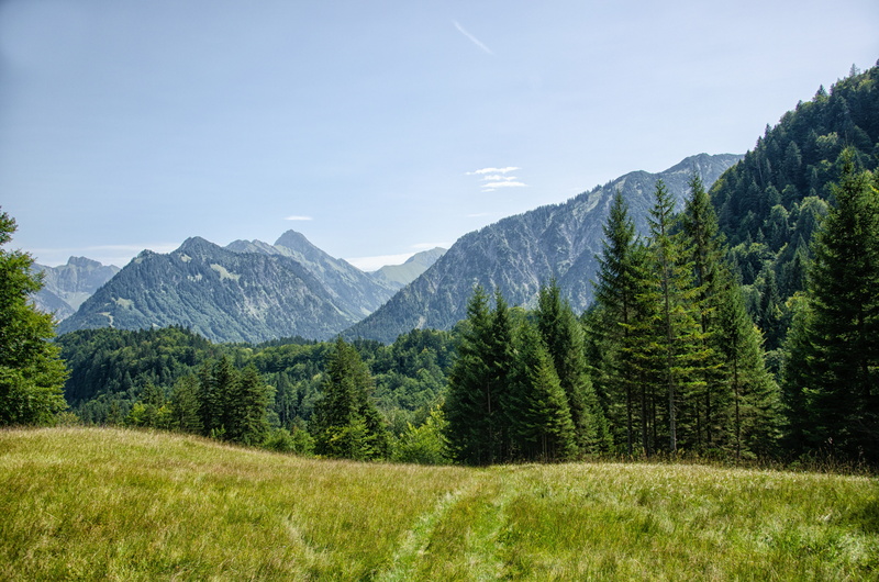 bavaria, plant, outdoors, tranquility, beauty in nature, reported, landscape, forest, coniferous tree, scenics - nature, mountain range, pine woodland