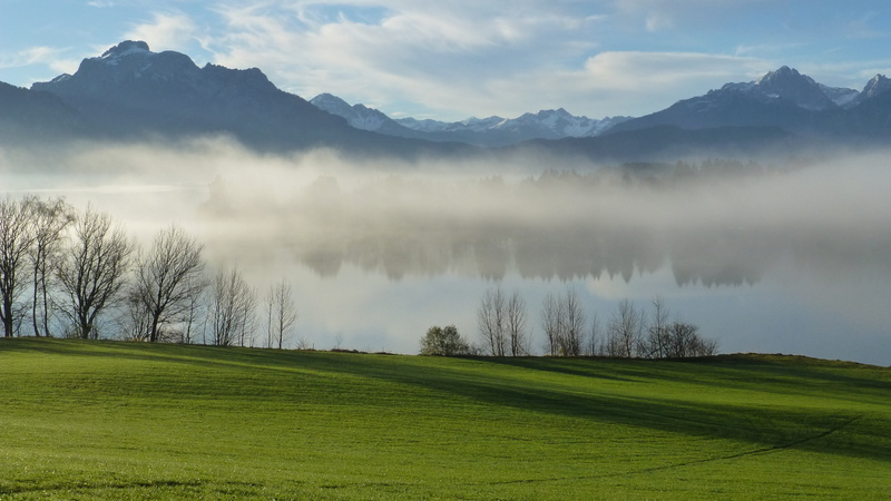 plant, nature, water, säuling, allgäu, outdoors, tranquil scene, tip of the miter, landscape, fog, scenics, land, scenics - nature, branderschrofen, lake