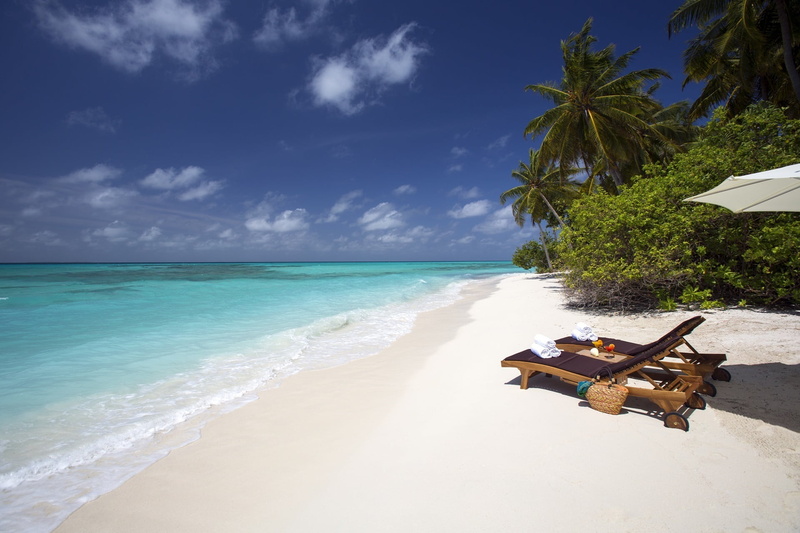 beds, sand, tree, sea, relaxation, sunlight, beauty in nature, coconut palm tree, blue, tropical Climate, water, coastline, loungers, trip, luxury, getaway