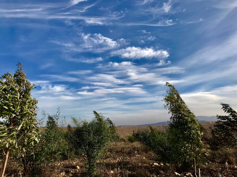 blue sky, land, landscape, places, outdoors, remote, tree, plant, idyllic, 4K, sky, lebanon, tranquil scene, sunlight, nature, environment, cloud - sky