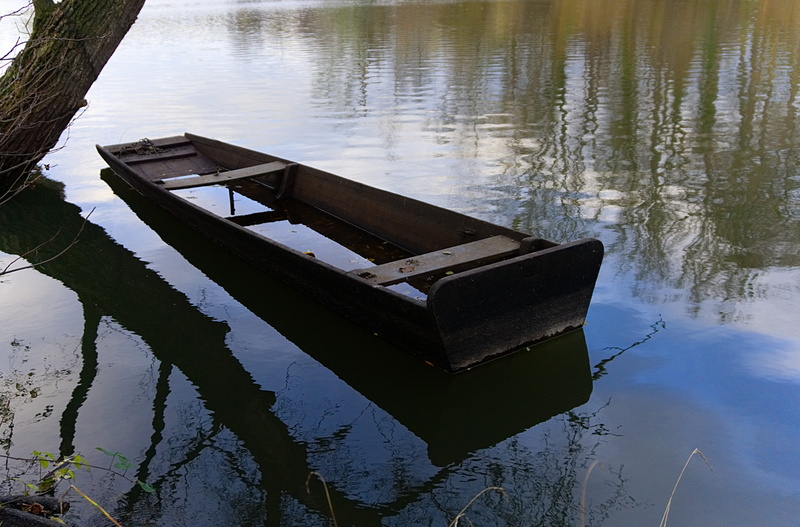 old, leisure, paddle, underwater, pier, nautical vessel, tranquility, broken, wood - material, water, reflection, lake, pollution, no people, tree, day