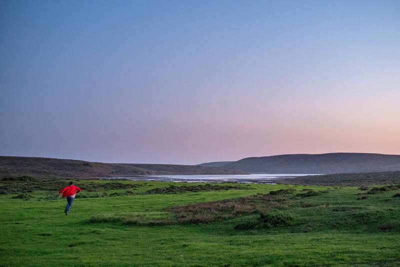 beauty in nature, plant, get lost, sky, lake, point reyes station, united states, lost, point reyes, standing, looking at view, mountain, fear, green, scenics - nature