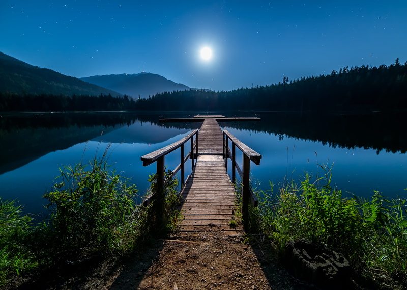 non-urban scene, nature, diminishing perspective, bridge, plant, landscape, sky, boardwalk, lake, building, near, tall, outdoors, brown, reflection, surrounded