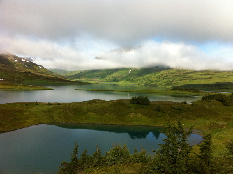 chugach national forest, cloudy, landscape, lake, trees, eye, green color, tranquil scene, tranquility, greenery, reflection, view, grasses, scenic, day