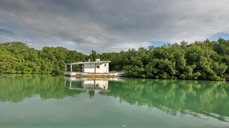 old, scenics - nature, ocean, water, rusty, cloud - sky, reflection, green color, building, built structure, abandoned, architecture, 5K, no people, day