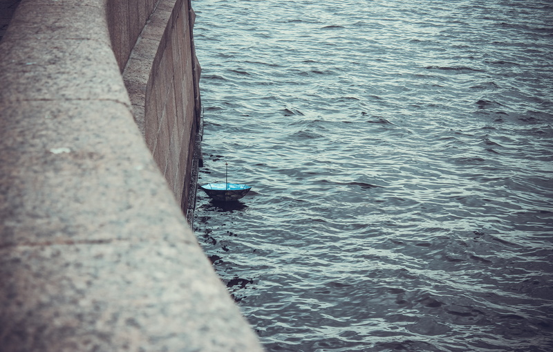 nautical vessel, beauty in nature, nature, one animal, concrete, near, animal wildlife, lost, swimming, pier, transportation, rippled, black, day, harbor