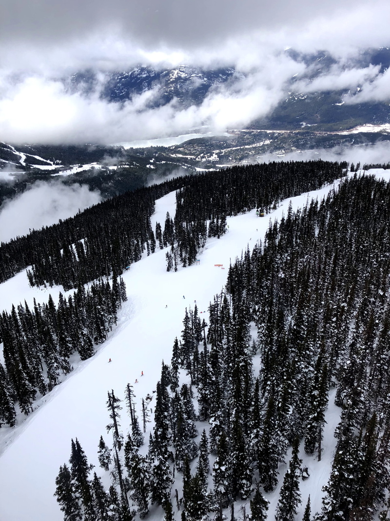 land, winter, tranquility, snowboard, coniferous tree, cold temperature, mountain, scenics - nature, tranquil scene, tree, outdoor, black comb, cloud - sky