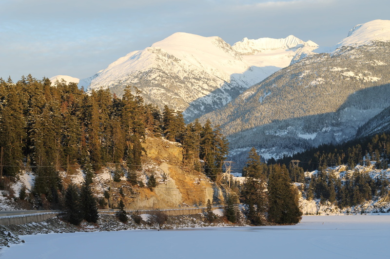 scenics - nature, tree, mountain range, mountain peak, day, whistler, sky, whinter, snowcapped mountain, nature, coniferous tree, tranquil scene, environment