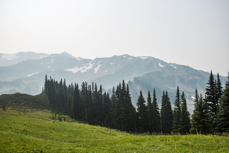 sky, whistler, beauty in nature, nature, mountain range, coniferous tree, mountains, outdoors, grass, pine tree, 2K, field, vegetation, tranquility, remote