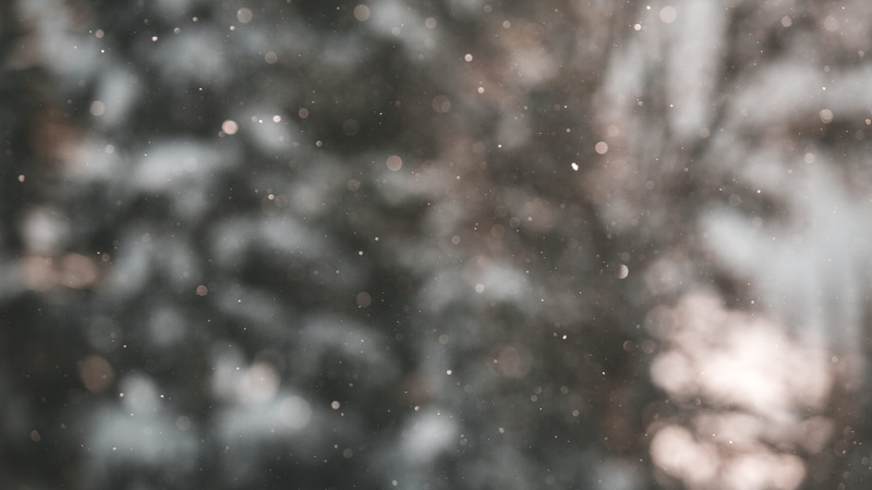 canada, sky, bokeh, blizzard, storm, cold, motion, cold temperature, textured effect, nature, no people, blurry, wilderness, extreme weather, background