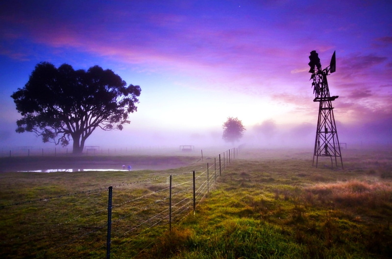 nature, 720P, landscape, fence, field, windmill, grass, trees, puddle, mist, sky
