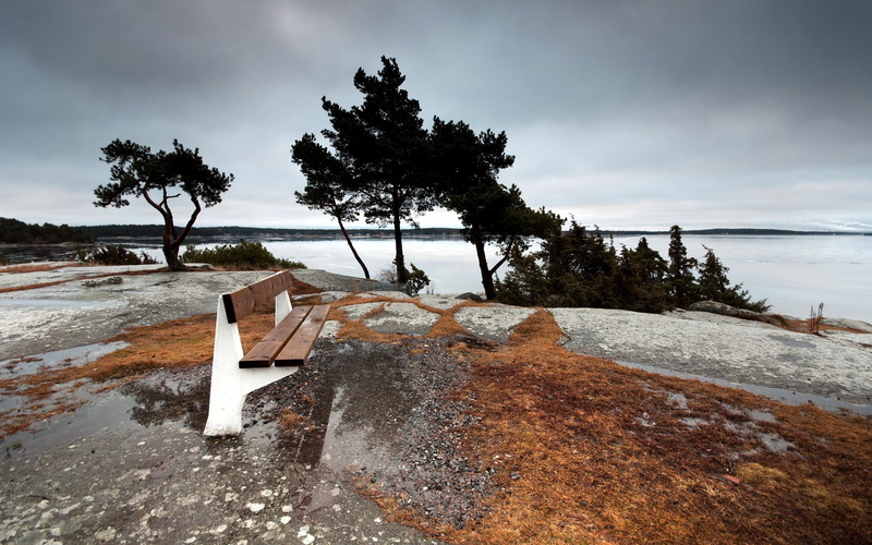 pine trees, rock, grass, wet, landscape, nature, lake, water, trees, puddle, bench, overcast, brown, 2K, gray