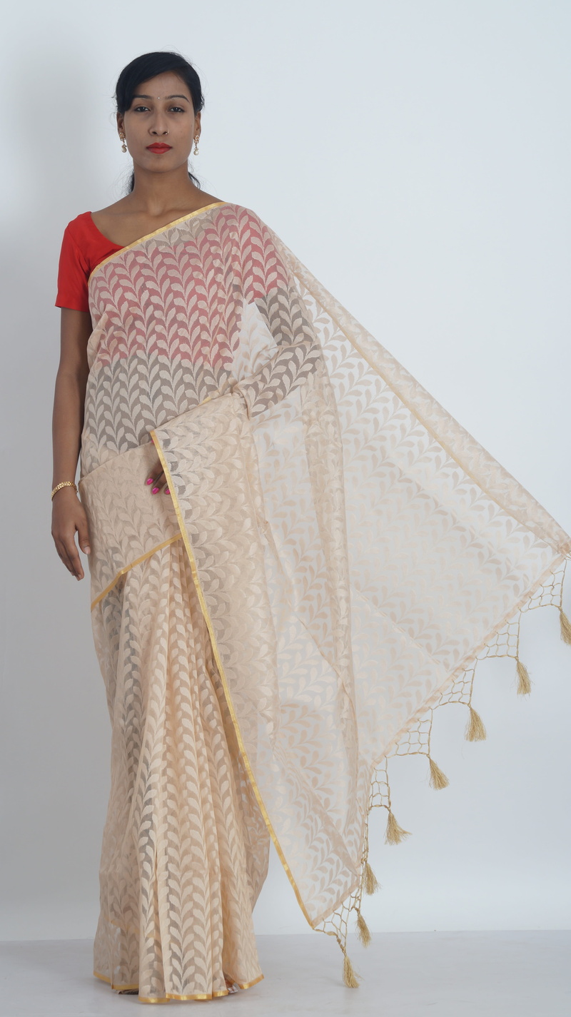 three quarter length, adult, standing, sky, teenager, only women, women, looking at camera, Wear, real people, Sarees, traditional, beautiful woman, young women