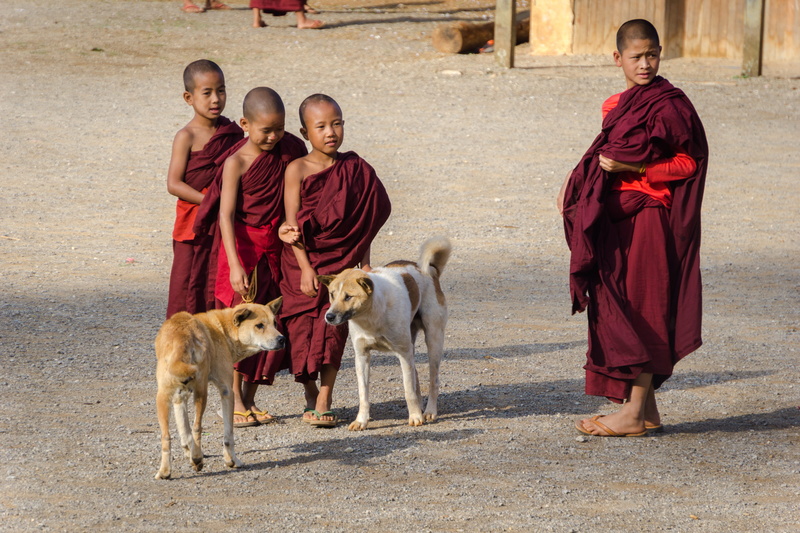 wearing, kids, pariah, full length, fawn, dog, one animal, thobes, indian, boys, men, group of people, people, boy, near, monk, belief, domestic animals
