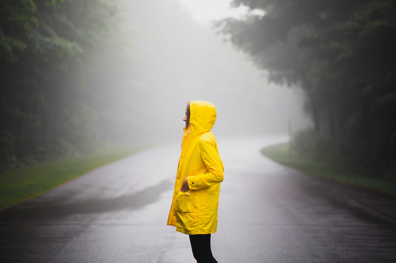 nature, fashion, tree, wildlife, road, green Color, roadtrip, rain, person, canada, people, quebec, females, adult, sport, street, pocket, young Adult
