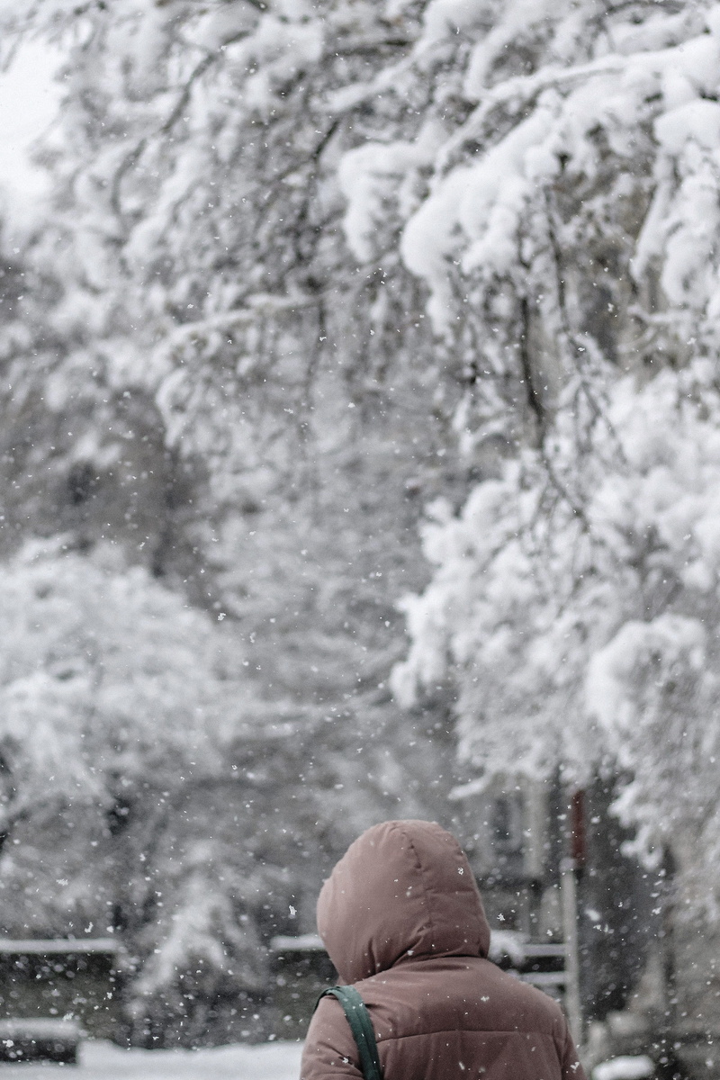 clothing, lifestyles, january, portrait, person, ice, hood - clothing, cold temperature, males, blizzard, serbia, black, real people, outdoors, street photography