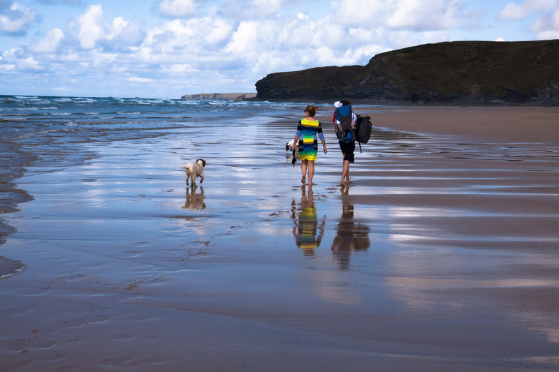 shoreline, nature, outdoors, wave, sea, one animal, dog, holidays, men, man, sand beach, atlantic, hiking, walking, wearing, mirroring, blue, idyll, pets