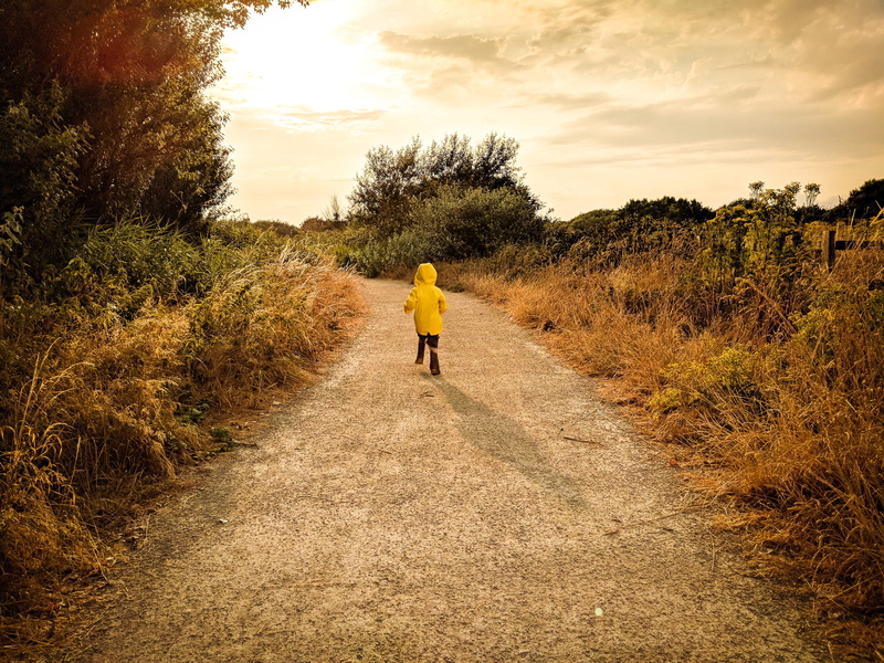 rear view, walking, full length, children, goodbye, cloudy, happy, toddler, outdoors, pre-school, one person, women, tree, golden, real people, direction