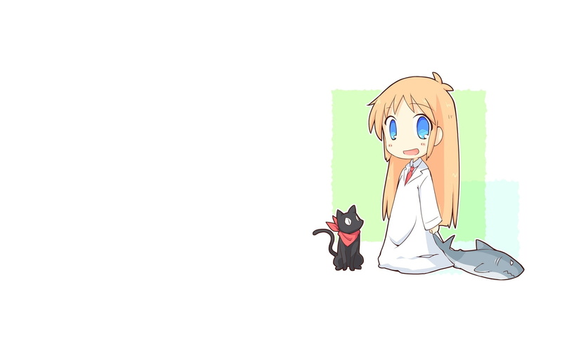 cats, hair, art, shinonome, nichijou, orange, sakamoto, animals, eyes, Blue Eyes, long, hakase, simple, mouth, open, hd, 1080P, bac, sharks, blue