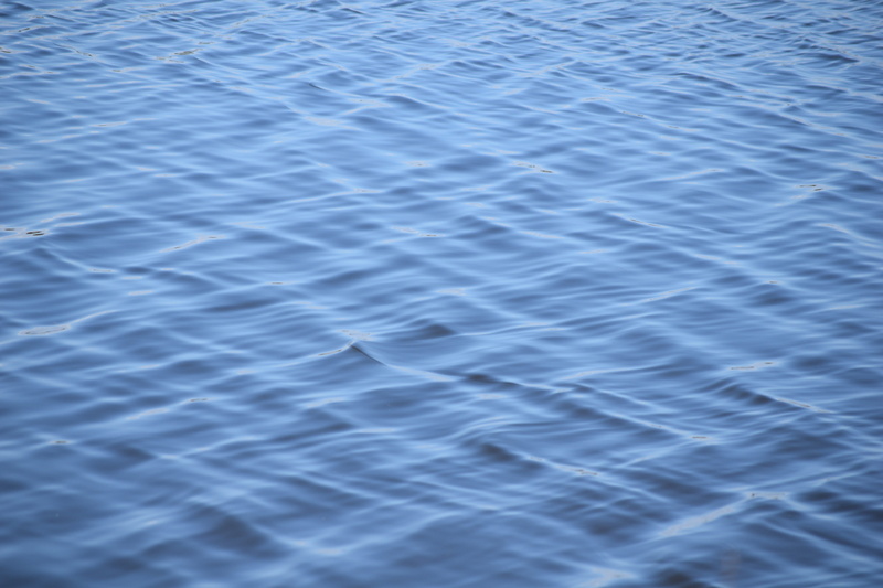 pool, backgrounds, swimming pool, texture, sea, nature, clean, 5K, water, united states, peaceful, st. marks lighthouse, ripple, pattern, outdoors, tallahassee