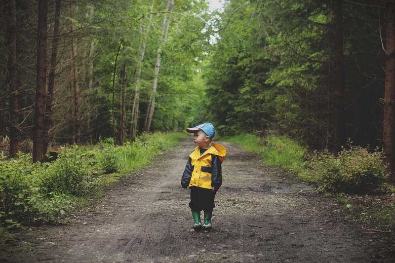 road, women, autumn, growth, toddler, 2K, path, rain coat, cute, day, black, jungle, land, hiking, nature, outdoors, kid, jacket, lifestyles, men, woodland