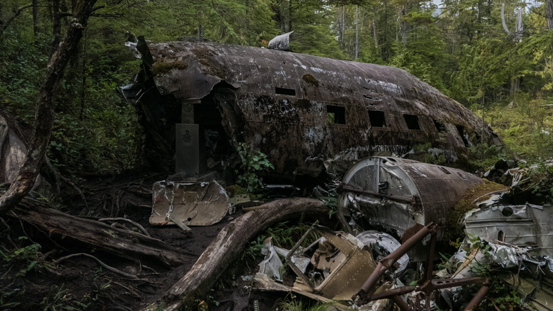 plant, outdoors, history, port hardy, wreckage, destruction, oneplus, crashed plane, vancouver island, deterioration, obsolete, architecture, land, run-down