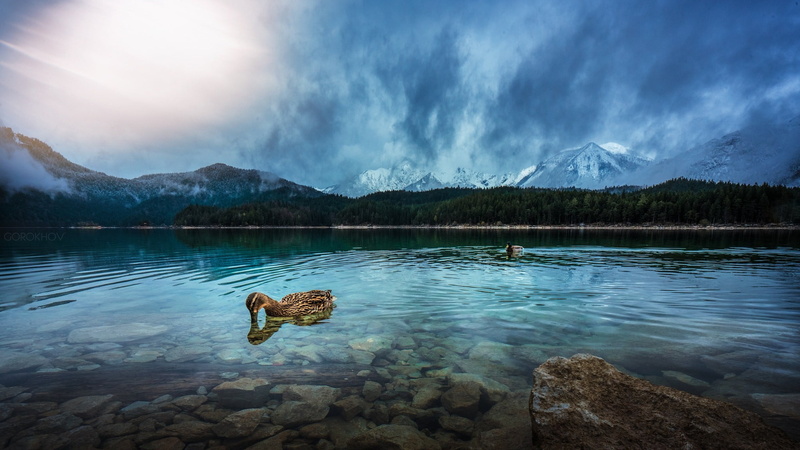 tranquility, outdoors, mountain, mountain peak, mountain range, nature, Ivan Gorokhov, environment, duck, animal, day, brown, 1080P, lake, tranquil scene