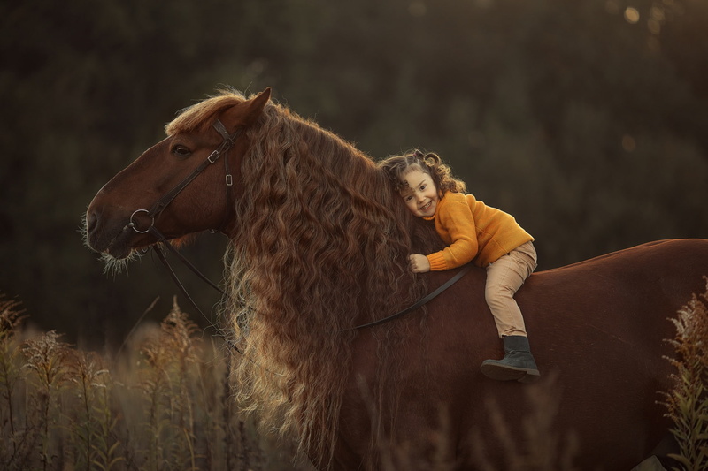 Horse, Child, Little Girl, 1080P, Photography, Girl