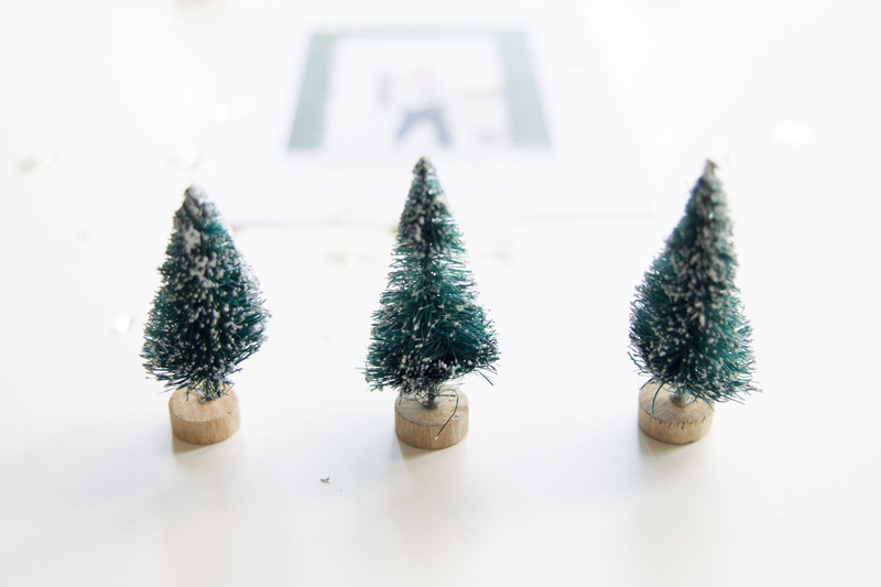 decoration, three, trees, growth, holiday, plant, celebration, fir tree, coniferous tree, close-up, white background, table, still life, pretend, studio shot