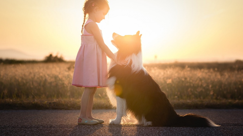 nature, childhood, sunset, offspring, girls, outdoors, domestic animals, canine, dog, females, sleeveless, one animal, positive emotion, pink dress, mammal