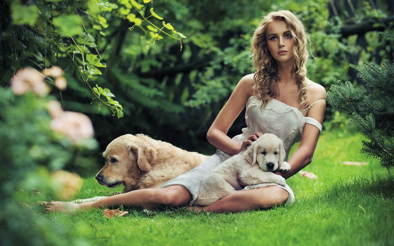 green Color, beautiful woman, lifestyles, retriever, fun, females, beauty, blonde, nature, women, grass, adult, 2K, mammal, relaxation, domestic, young Adult