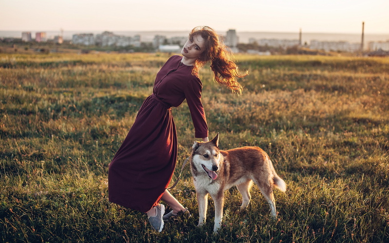 one animal, purple dresses, depth of field, 2K, long skirt, field, animal themes, women outdoors, brunette, canine, sunset, domestic, pets, one person