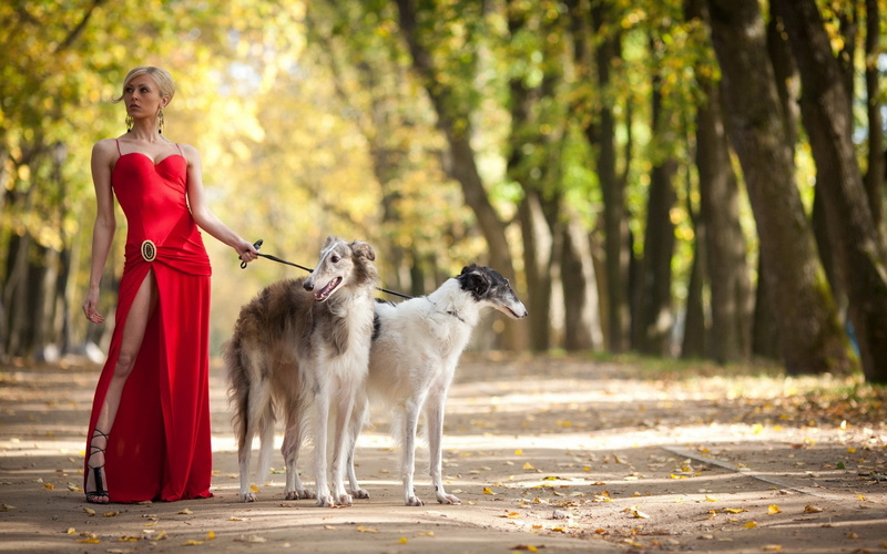 animals, women, 1080P, heels, hd, dogs, art, high, leg, dress, red, x