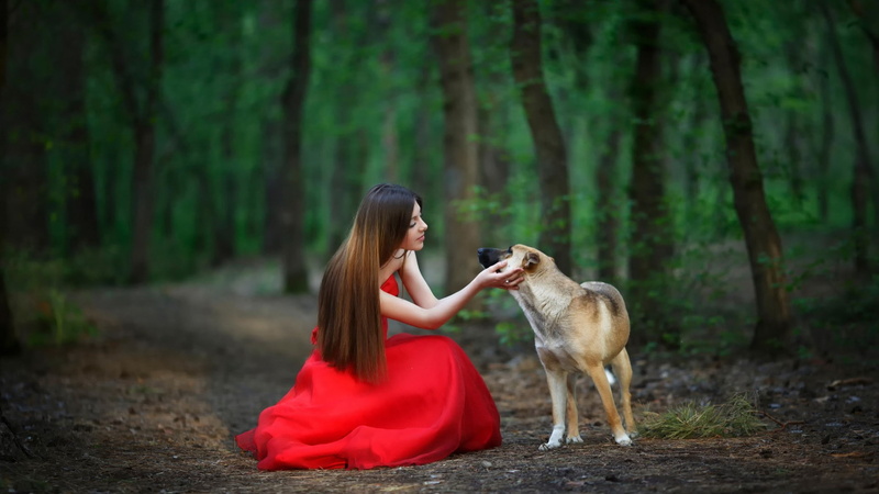 women, dog, red dress, animals, brunette, 1080P, trees, straight hair