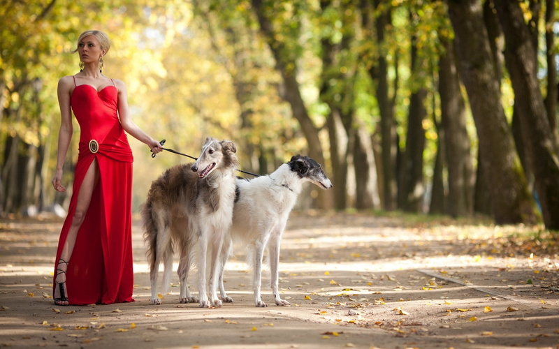 women, animals, 1080P, red, leg, dogs, art, hd, blondes, barsoi, x, dress